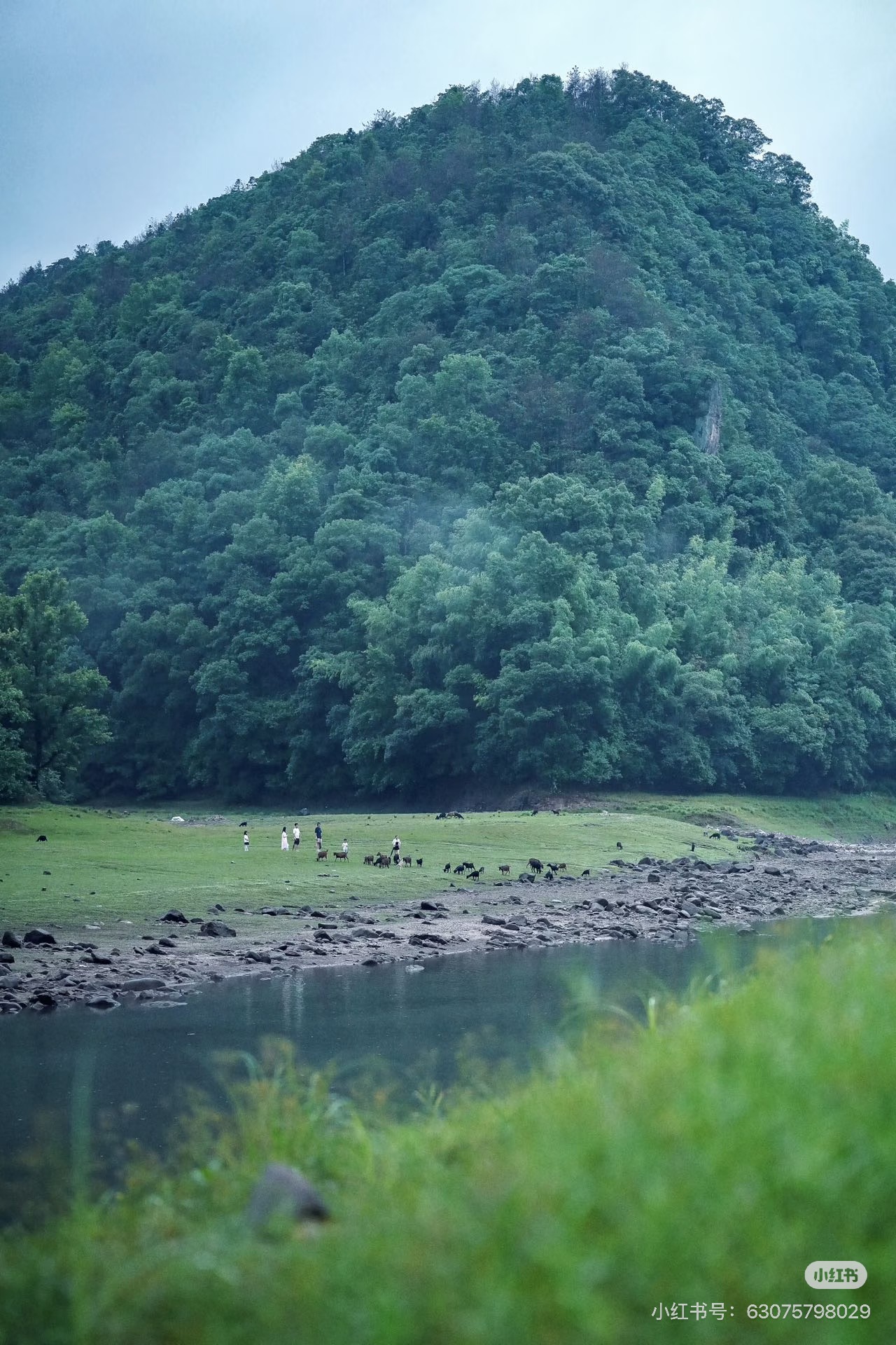 水岸与青山