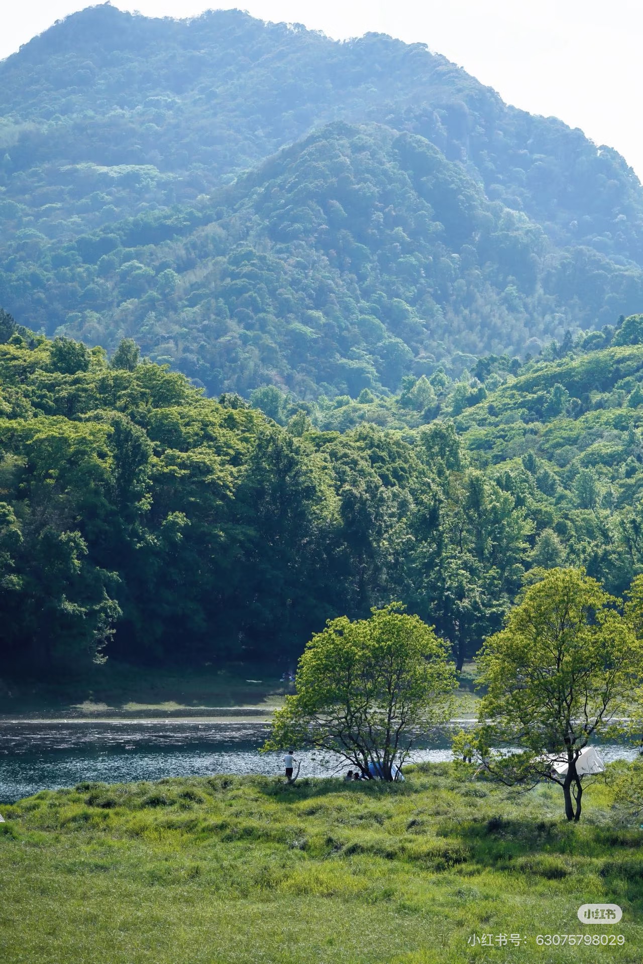 阳光下的水岸
